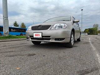2001 Toyota Corolla IX (E120, E130), серый, 485000 рублей, вид 2