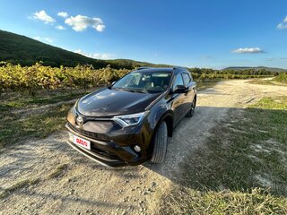 2019 Toyota RAV4 IV (XA40) Рестайлинг, коричневый, 2850000 рублей, вид 1