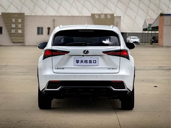 2021 Lexus NX 200 I Рестайлинг, белый - вид 5