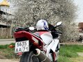 1998 Yamaha YZF1000R Thunderace, серебристый, 330000 рублей - вид 8
