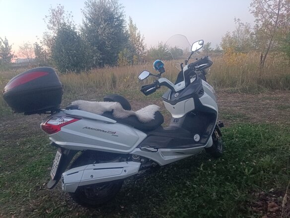 2014 Sym Maxsym 600, белый, 485000 рублей - вид 4