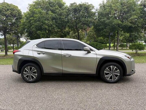 2020 Lexus UX 300e I, серебристый, 1567202 рублей - вид 16