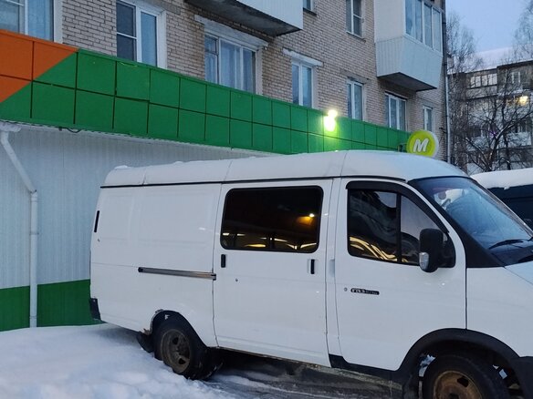 2009 ГАЗ ГАЗель (2705) Комби, белый, 340000 рублей - вид 8
