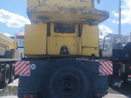 2000 Grove GMK, 10810420 рублей, вид 2