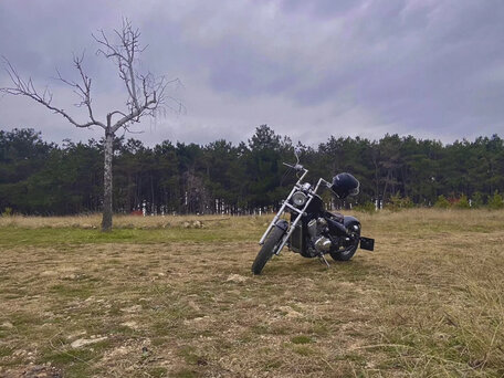 1994 Honda Steed 400, чёрный, 279123 рублей, вид 4