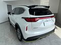 2022 Haval Chitu, белый - вид 5