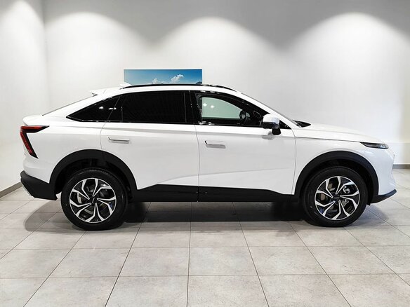 2026 Haval F7x II, белый - вид 6