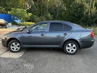 2008 Skoda Octavia II (A5) Рестайлинг, серый, 815000 рублей, вид 4