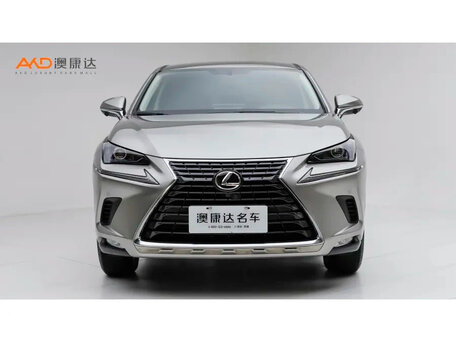 2020 Lexus NX 200 I Рестайлинг, серебристый, 2490000 рублей, вид 2