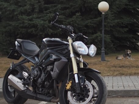 2013 Triumph Street Triple, чёрный, 519000 рублей, вид 1