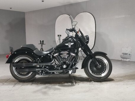 2017 Harley-Davidson Softail Slim, чёрный, 1400000 рублей, вид 1