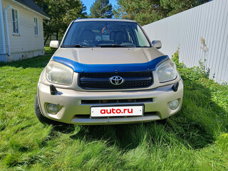 2004 Toyota RAV4 II (XA20) Рестайлинг, бежевый, 670000 рублей, вид 3