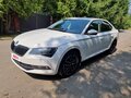 2017 Skoda Superb III, белый - вид 6
