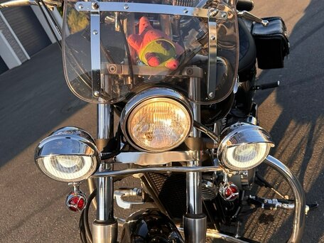 2010 Honda Shadow 750, чёрный, 820000 рублей, вид 2