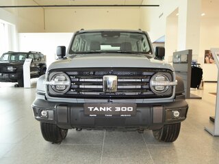 2026 Tank 300 I, серый, 4499000 рублей, вид 3