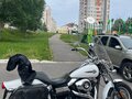 2011 Harley-Davidson Fat Bob, белый, 850000 рублей - вид 1