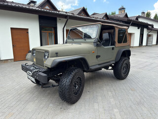 1993 Jeep Wrangler I (YJ), зелёный, 4250000 рублей, вид 2