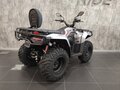 2026 Loncin XWolf 300, серый, 485000 рублей - вид 1