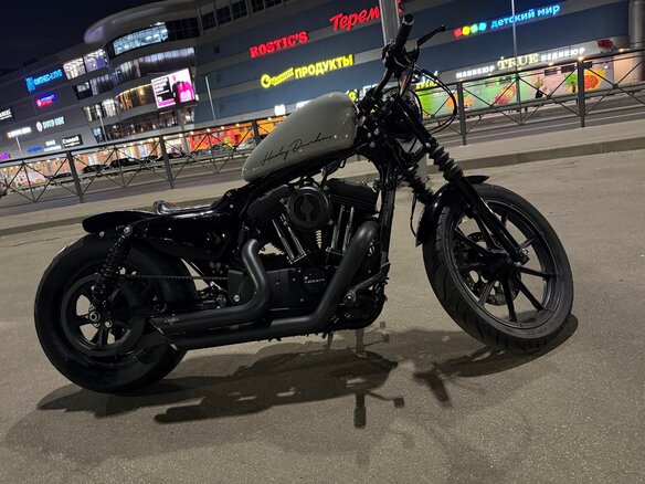 2021 Harley-Davidson Sportster 1200, серый, 1450000 рублей