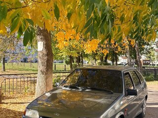 2005 Lada (ВАЗ) 2114, серый, 110000 рублей, вид 1