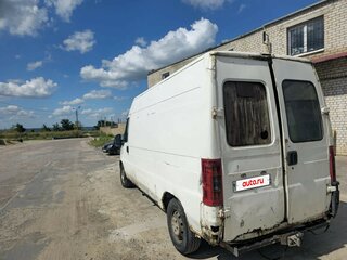 2008 Fiat Professional Ducato, белый, 450000 рублей, вид 2
