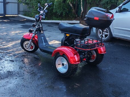 2026 White Siberia Pro Trike, красный, 255000 рублей, вид 3