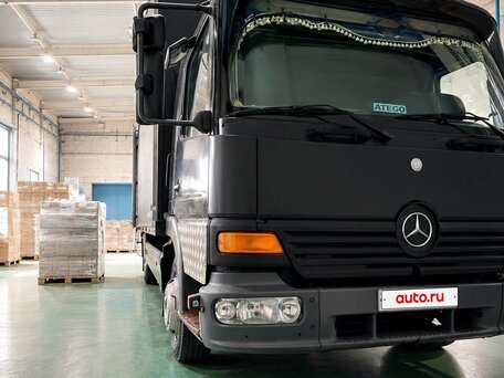 2000 Mercedes-Benz Atego, серый, 1100000 рублей, вид 4