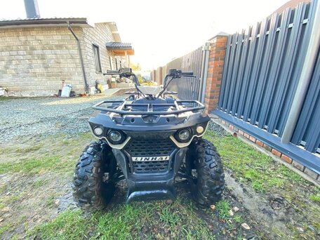 2023 Yamaha Grizzly 300, коричневый, 150000 рублей, вид 5