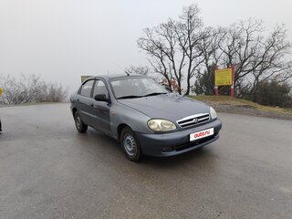 2010 ЗАЗ Chance, серый, 170000 рублей, вид 2