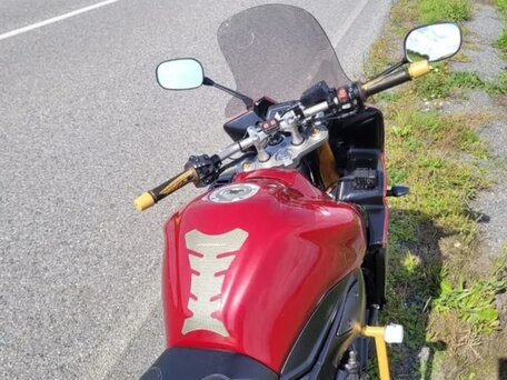 2006 Yamaha FZ1, красный, 470000 рублей, вид 2
