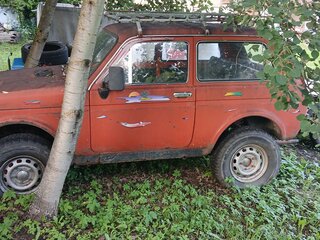 1983 Lada (ВАЗ) 2121 (4x4) I, красный, 200000 рублей, вид 4