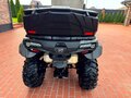 2021 CFMoto CFORCE 800 HO EPS, серый, 1050000 рублей - вид 6