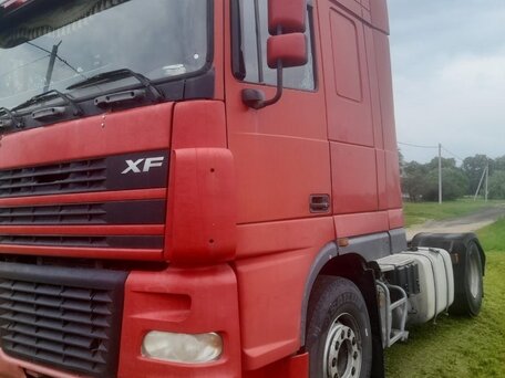 2004 DAF XF 95, красный, 1139783 рублей, вид 2