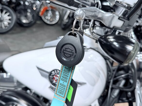 2011 Harley-Davidson Fat Boy, белый, 1399000 рублей - вид 32