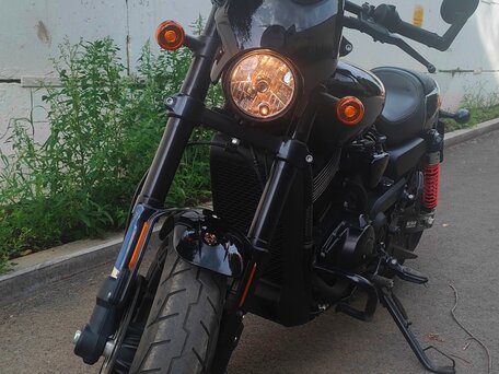 2019 Harley-Davidson Street Rod, чёрный, 729000 рублей, вид 5