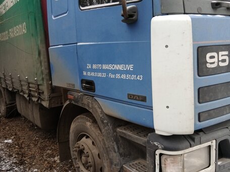 1996 DAF XF 95, синий, 1200000 рублей, вид 2