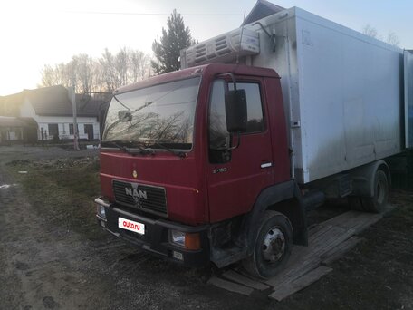 1995 MAN LE/L 2000, пурпурный, 1300000 рублей, вид 1