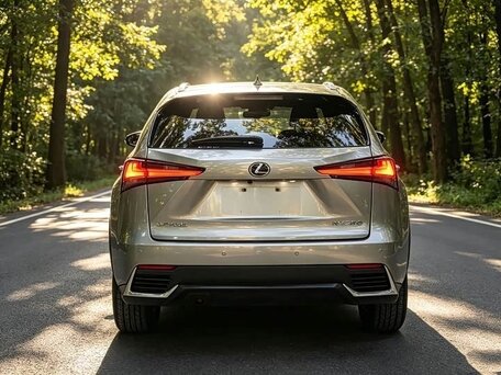 2021 Lexus NX 200 I Рестайлинг, серебристый, 3650000 рублей, вид 5