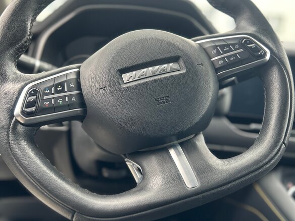 2021 Haval F7x I, белый - вид 15