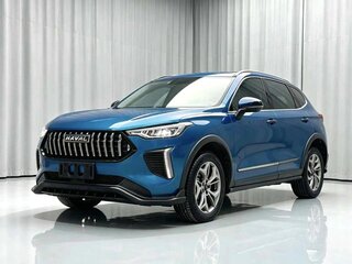 2022 Haval Chitu, синий, 1120000 рублей, вид 1