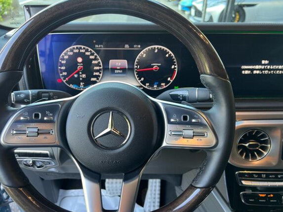 2021 Mercedes-Benz G-Класс 400 d III (W463), голубой, 11700000 рублей - вид 28