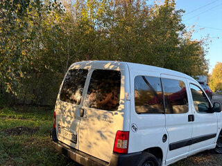 2010 Peugeot Partner I Рестайлинг, белый, 350000 рублей, вид 5