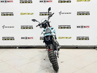 2026 Stels 250 Enduro, зелёный, 191000 рублей, вид 3
