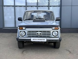 2005 Lada (ВАЗ) 2131 (4x4) I, серый, 227000 рублей, вид 2