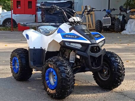 2026 Motoland ATV 110 Eagle, белый, 85400 рублей, вид 1