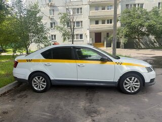 2017 Skoda Octavia III (A7) Рестайлинг, белый, 650000 рублей, вид 2