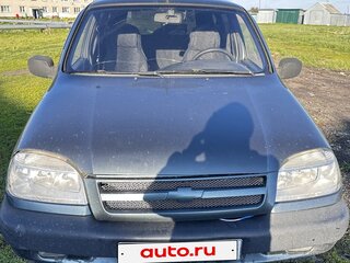 2007 Chevrolet Niva I, серый, 200000 рублей, вид 1