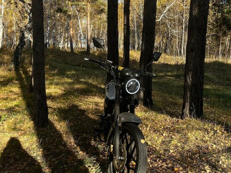 2024 Racer Tiger, серый, 100000 рублей, вид 5