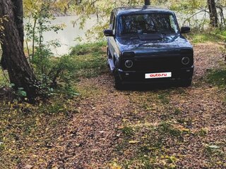 2006 Lada (ВАЗ) 2121 (4x4) I Рестайлинг, серый, 555500 рублей, вид 5
