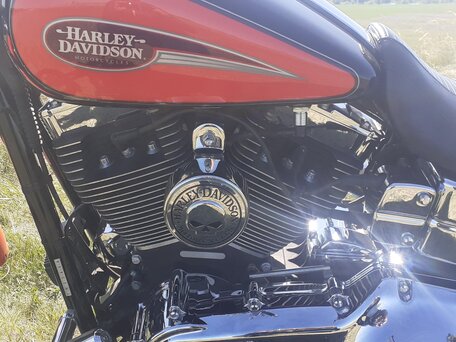 2008 Harley-Davidson Dyna Low Rider, оранжевый, 764000 рублей, вид 2